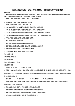 安徽马鞍山市2024-2025学年生物高一下期末学业水平测试试题含解析