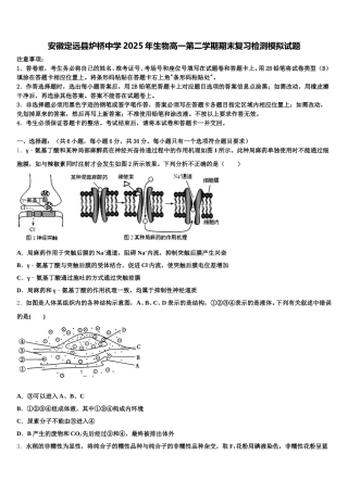 安徽定远县炉桥中学2025年生物高一第二学期期末复习检测模拟试题含解析