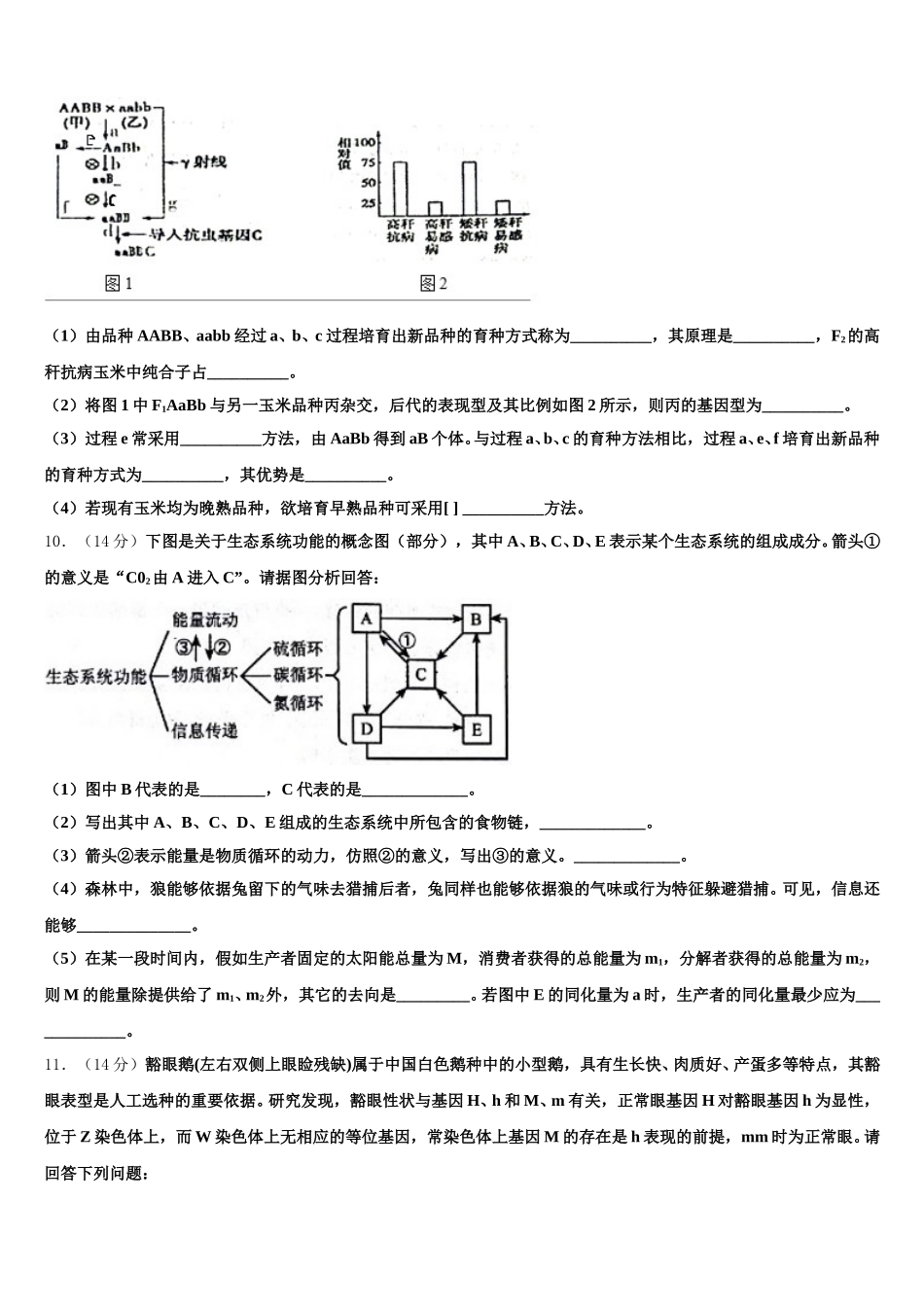 2024-2025学年安徽省泗县巩沟中学高一下生物期末质量跟踪监视试题含解析_第3页