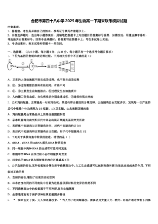 合肥市第四十八中学2025年生物高一下期末联考模拟试题含解析