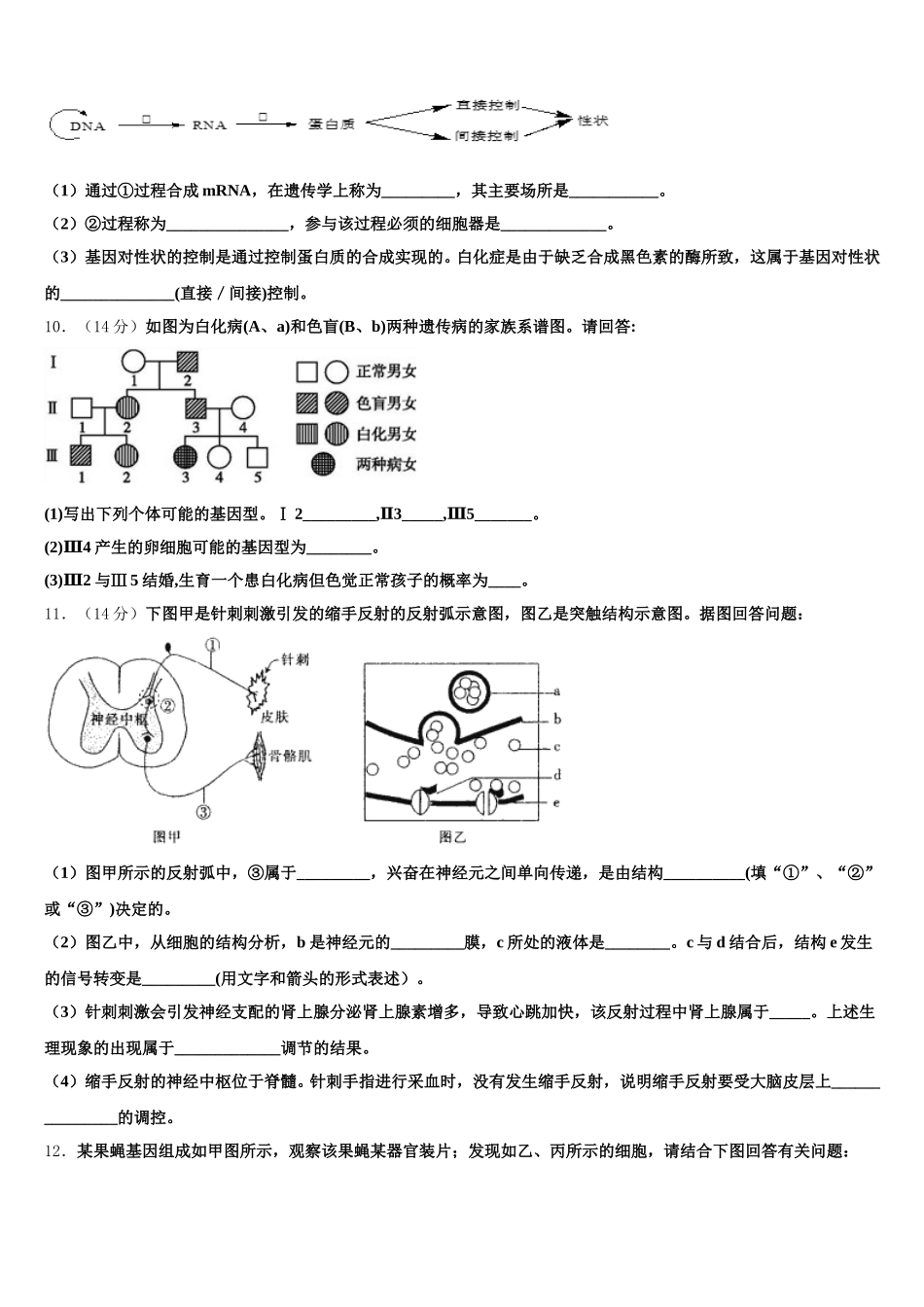 安徽省黄山市徽州区第一中学2025年生物高一第二学期期末质量跟踪监视模拟试题含解析_第3页
