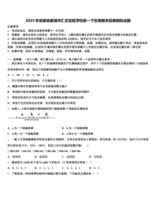 2025年安徽省巢湖市汇文实验学校高一下生物期末经典模拟试题含解析