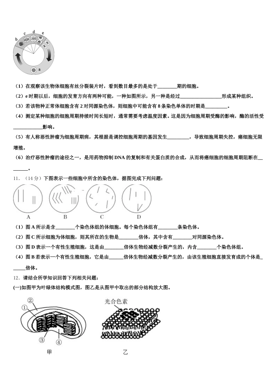 安徽省蚌埠市田家炳中学、五中2025届高一下生物期末统考模拟试题含解析_第3页