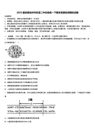 2025届安徽池州市东至二中生物高一下期末质量检测模拟试题含解析