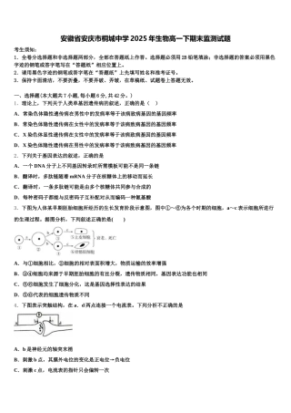 安徽省安庆市桐城中学2025年生物高一下期末监测试题含解析