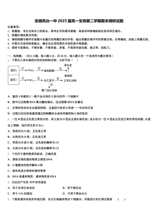 安徽凤台一中2025届高一生物第二学期期末调研试题含解析
