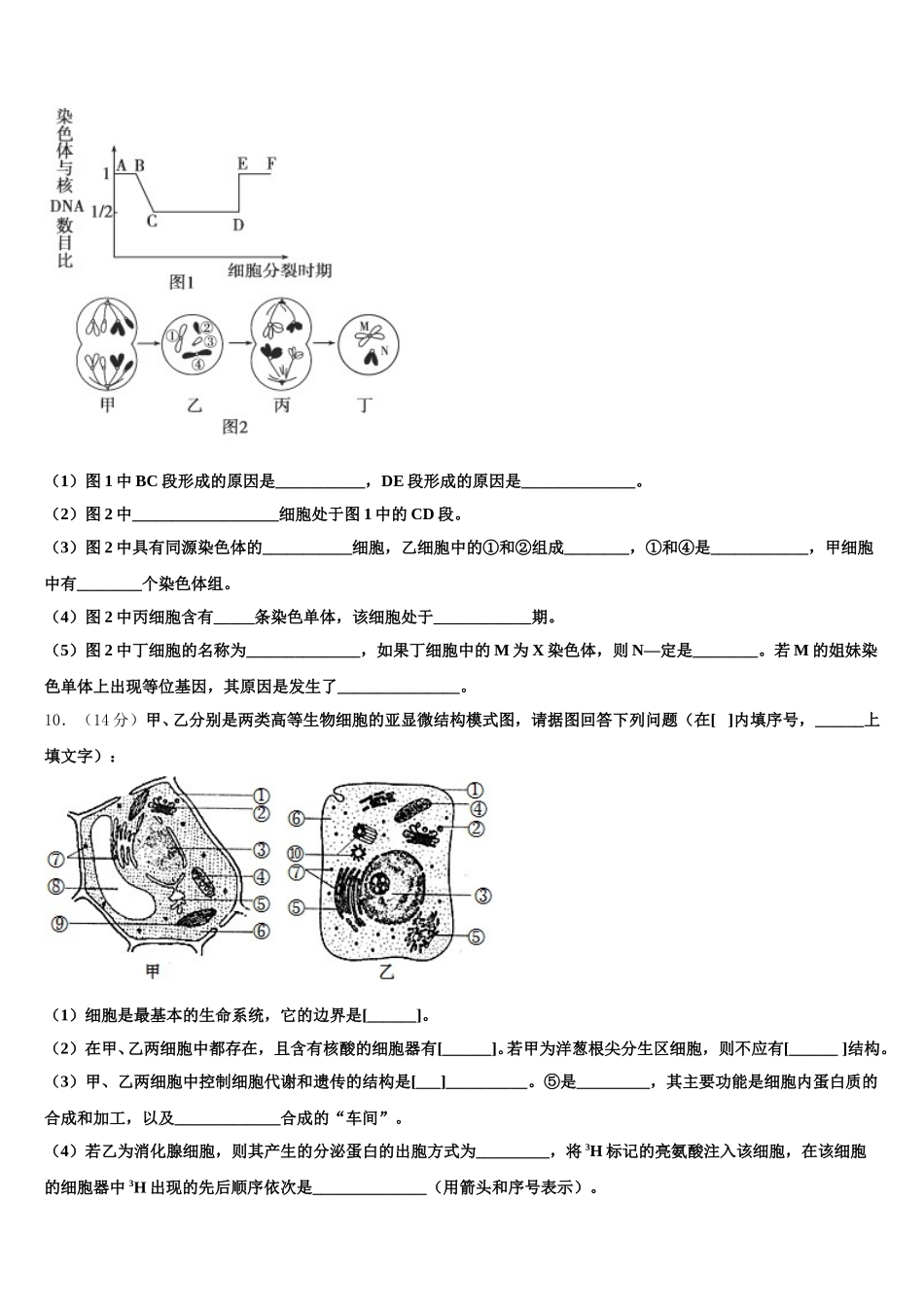安徽省滁州市第一中学2025届生物高一下期末学业质量监测模拟试题含解析_第3页