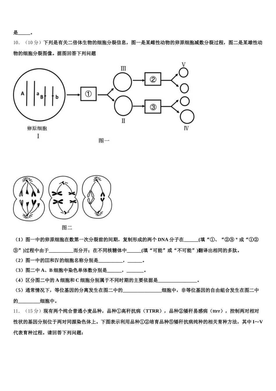 2025届安徽省淮南一中高一生物第二学期期末教学质量检测模拟试题含解析_第3页