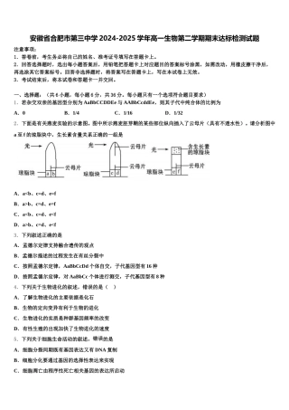 安徽省合肥市第三中学2024-2025学年高一生物第二学期期末达标检测试题含解析