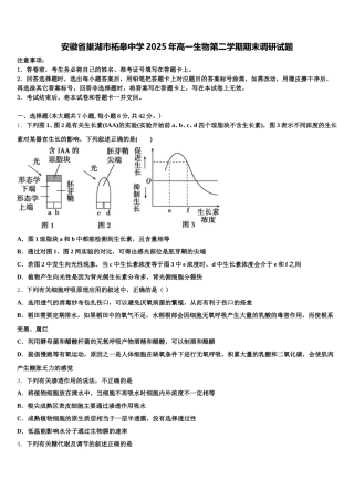 安徽省巢湖市柘皋中学2025年高一生物第二学期期末调研试题含解析