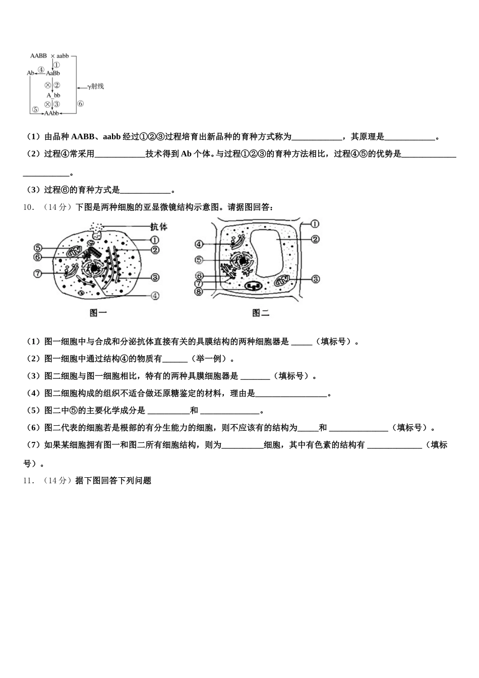 安徽省无为县开城中学2024-2025学年生物高一下期末学业水平测试试题含解析_第3页