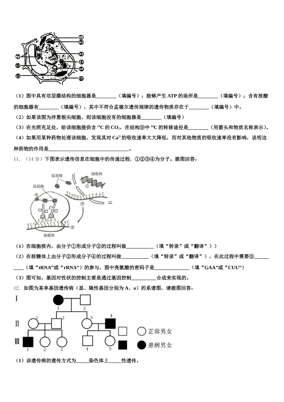2025年安徽省A10联盟生物高一下期末统考模拟试题含解析_第3页