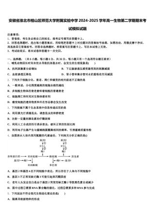 安徽省淮北市相山区师范大学附属实验中学2024-2025学年高一生物第二学期期末考试模拟试题含解析