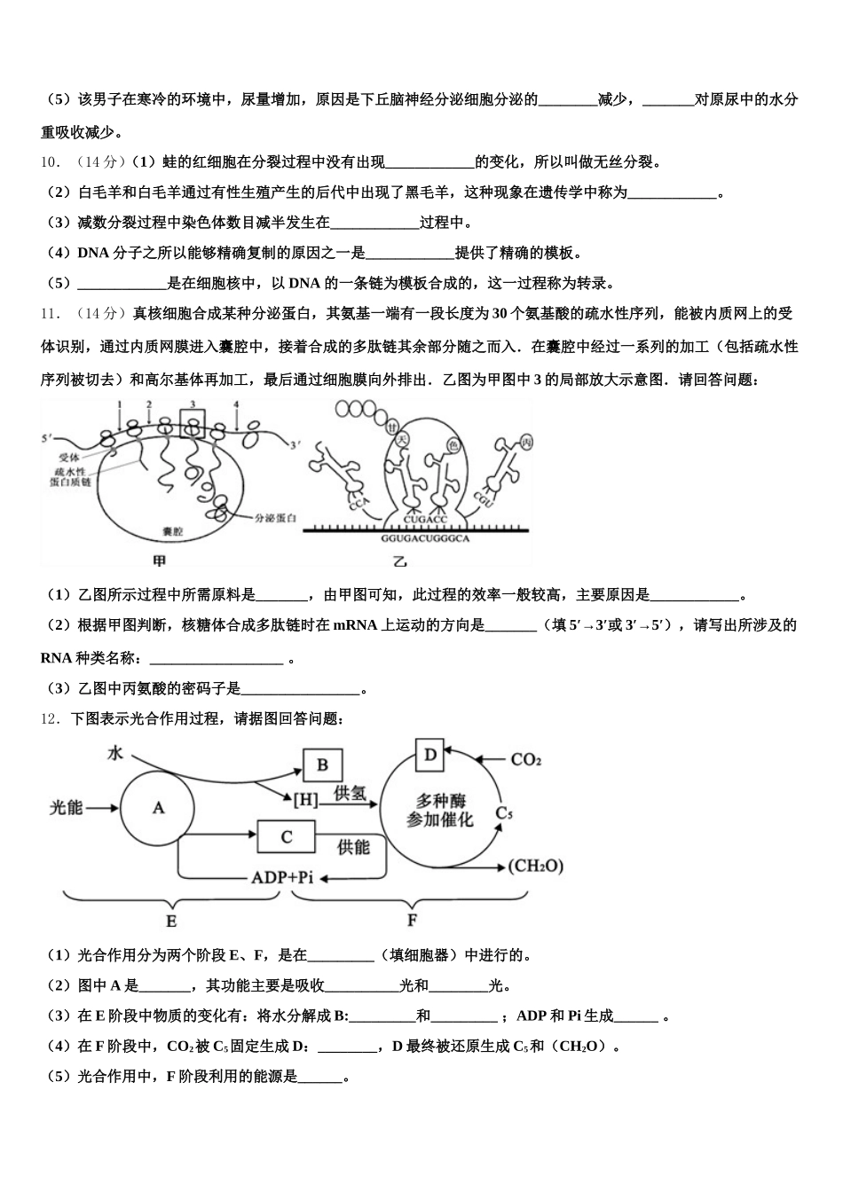 安徽省合肥市巢湖市2024-2025学年高一生物第二学期期末学业质量监测试题含解析_第3页