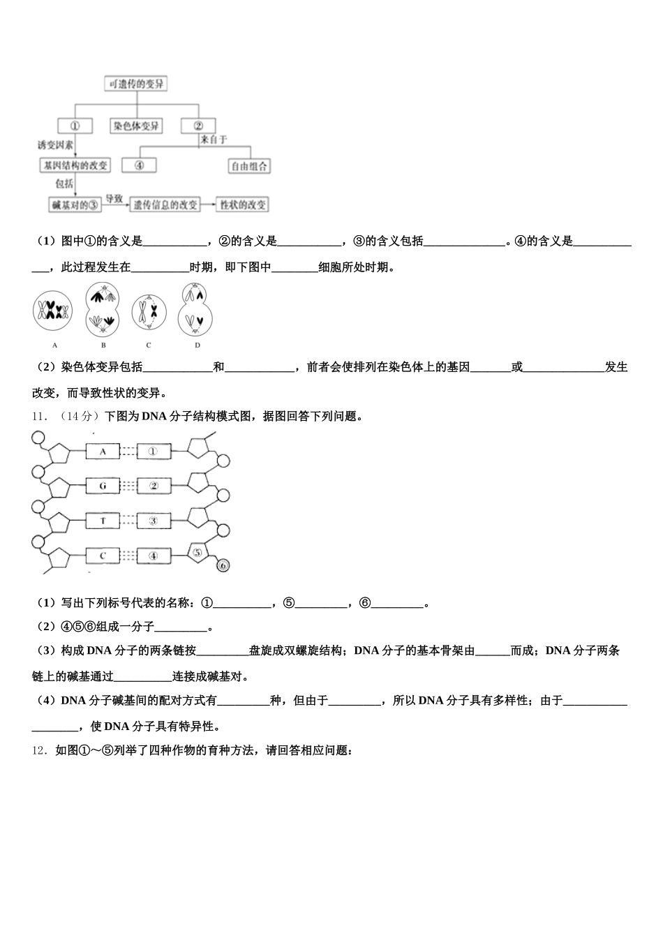安徽省屯溪第一中学2025年生物高一第二学期期末调研模拟试题含解析_第3页