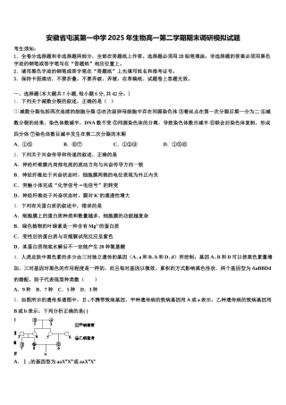 安徽省屯溪第一中学2025年生物高一第二学期期末调研模拟试题含解析