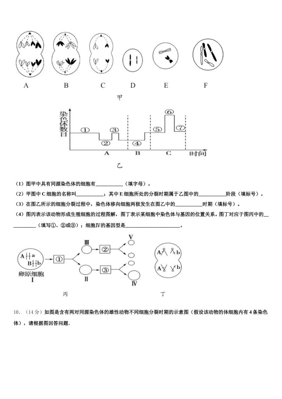 安徽省阜阳市太和县第一中学2025年生物高一第二学期期末综合测试模拟试题含解析_第3页