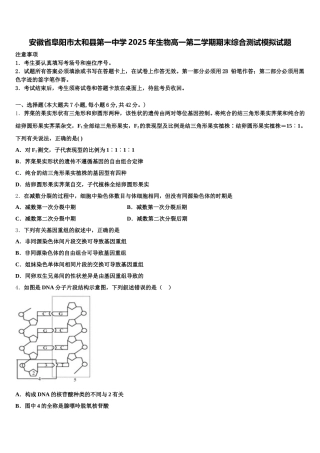 安徽省阜阳市太和县第一中学2025年生物高一第二学期期末综合测试模拟试题含解析