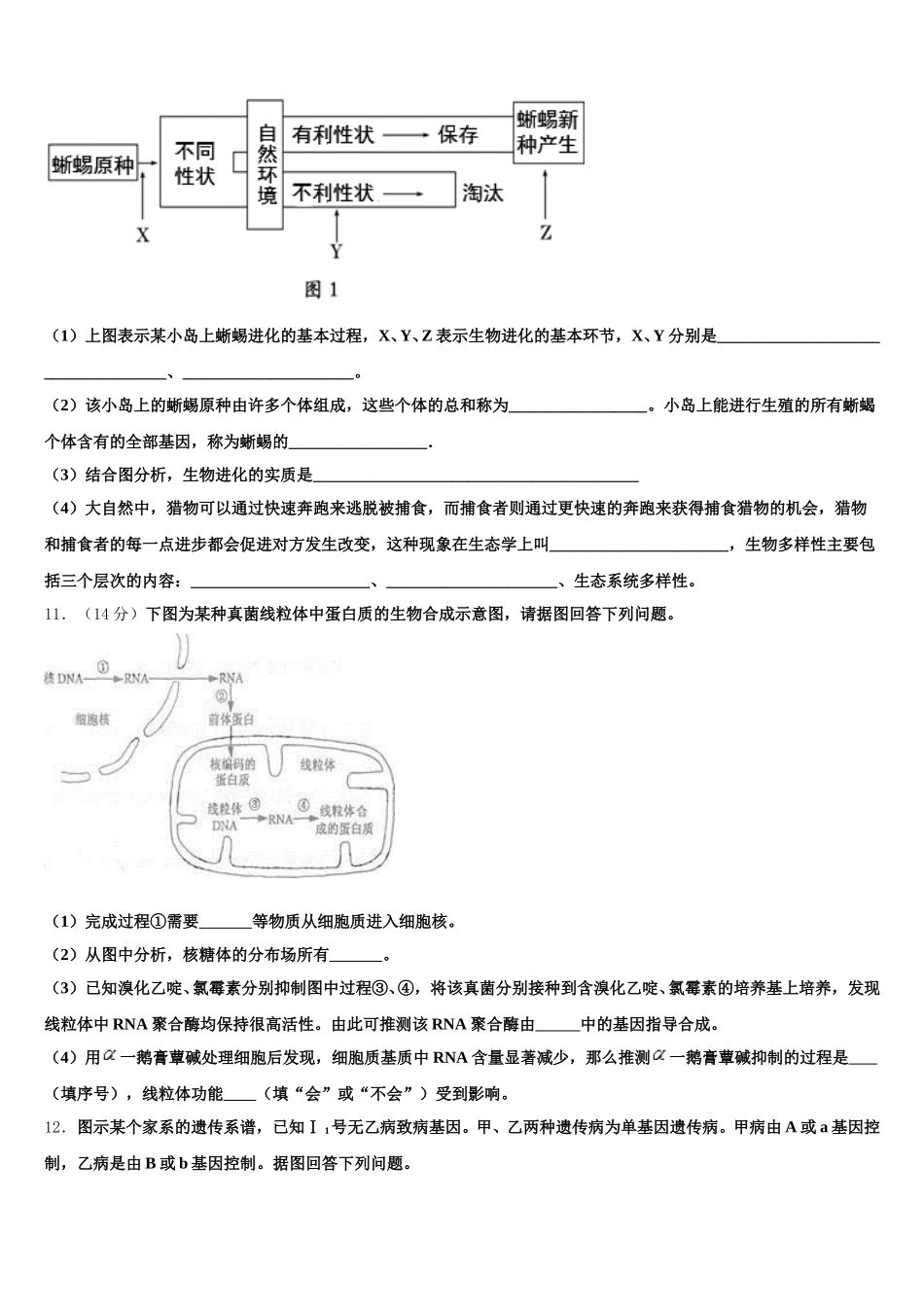 安徽省安庆市石化第一中学2025年生物高一下期末经典试题含解析_第3页