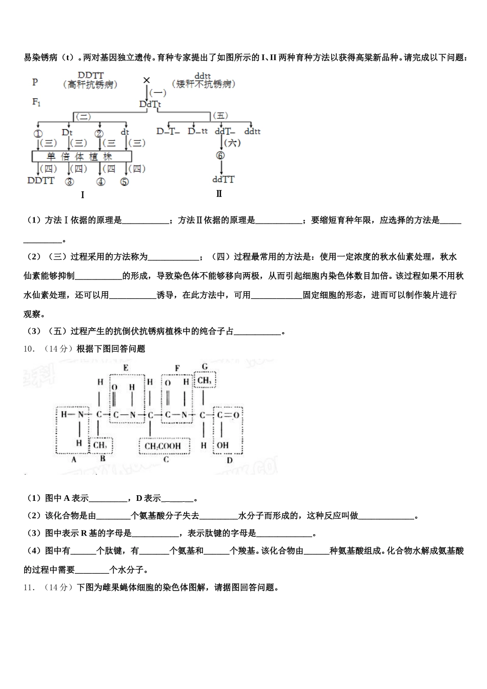 2024-2025学年安徽省皖中名校联盟高一下生物期末学业质量监测模拟试题含解析_第3页