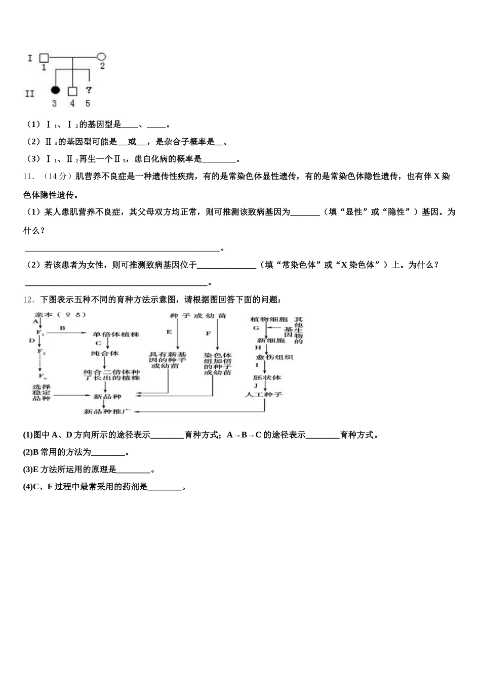 安徽省霍邱县第二中学2024-2025学年生物高一下期末统考试题含解析_第3页