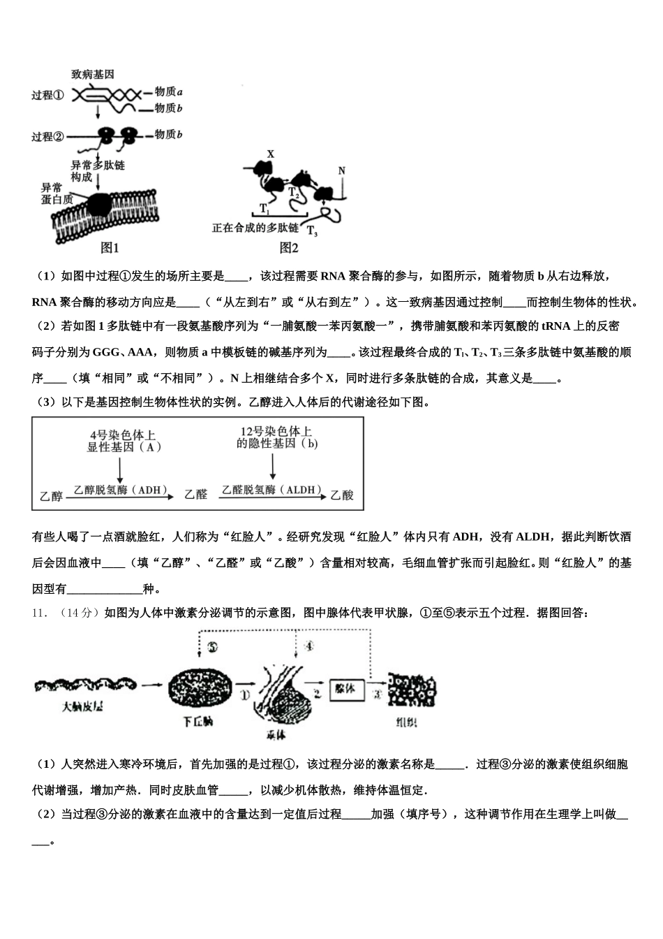 安徽省皖西南联盟2025届生物高一下期末调研试题含解析_第3页