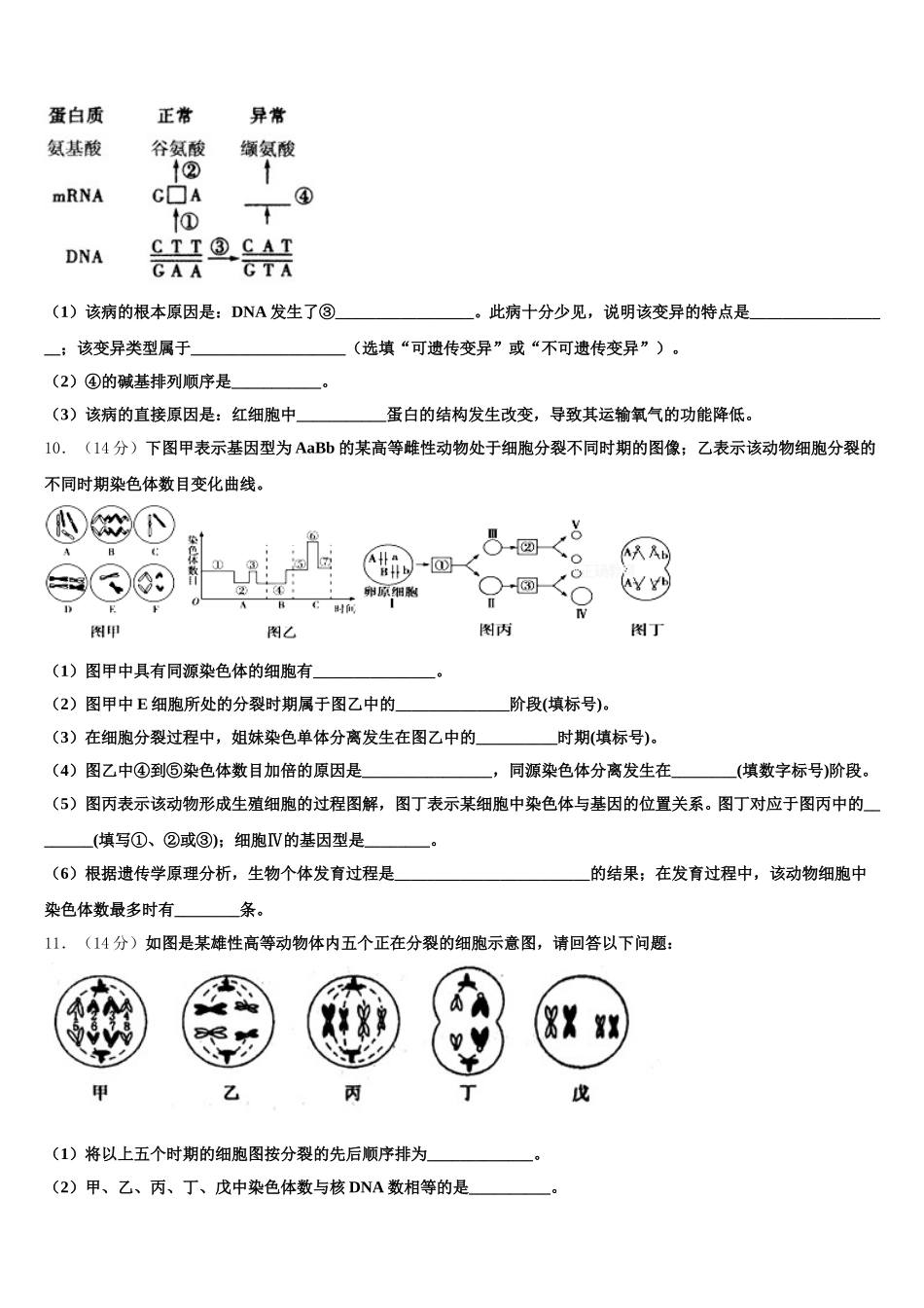 2024-2025学年安徽省六安市青山中学高一生物第二学期期末学业质量监测模拟试题含解析_第3页