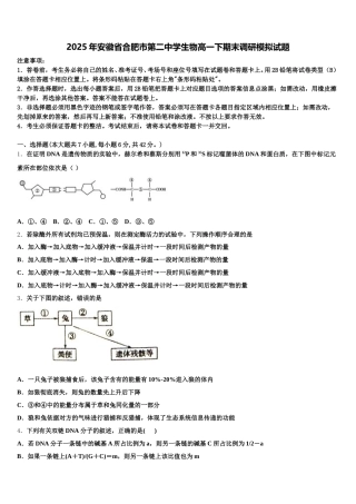 2025年安徽省合肥市第二中学生物高一下期末调研模拟试题含解析