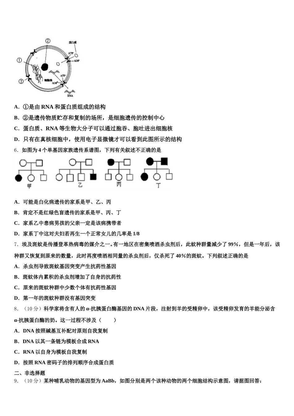 安徽省毛坦厂中学2025年高一下生物期末质量检测模拟试题含解析_第2页