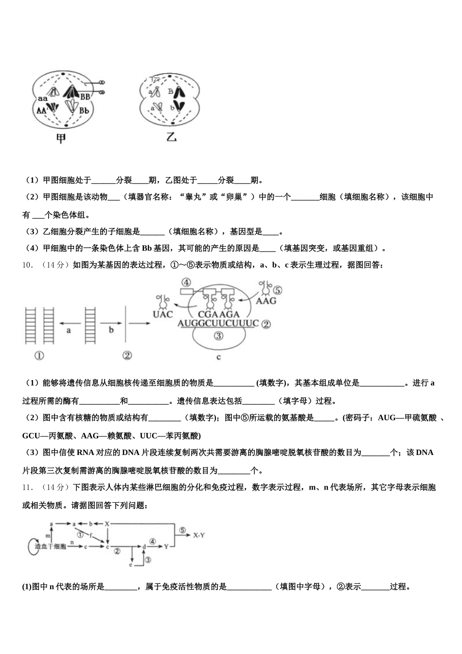 安徽省毛坦厂中学2025年高一下生物期末质量检测模拟试题含解析_第3页