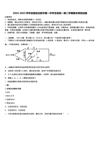 2024-2025学年安徽省合肥市第一中学生物高一第二学期期末预测试题含解析