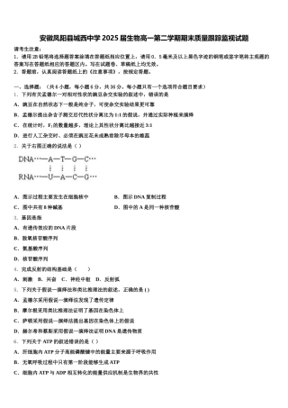 安徽凤阳县城西中学2025届生物高一第二学期期末质量跟踪监视试题含解析