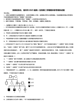 安徽省淮北、宿州市2025届高一生物第二学期期末联考模拟试题含解析