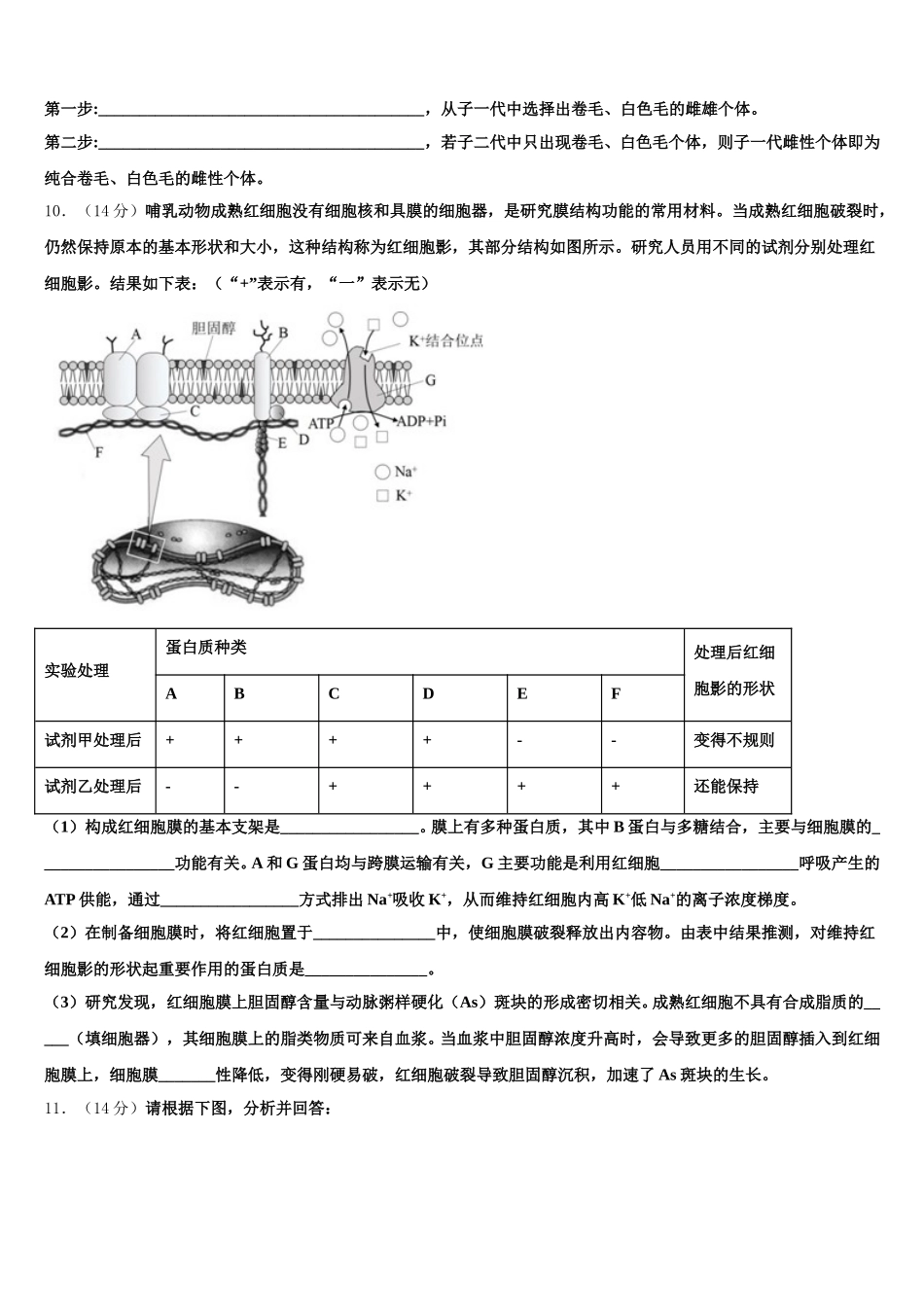 安徽省舒城桃溪2025届高一生物第二学期期末质量检测模拟试题含解析_第3页
