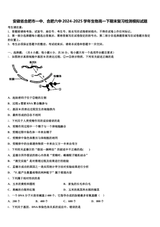 安徽省合肥市一中、合肥六中2024-2025学年生物高一下期末复习检测模拟试题含解析