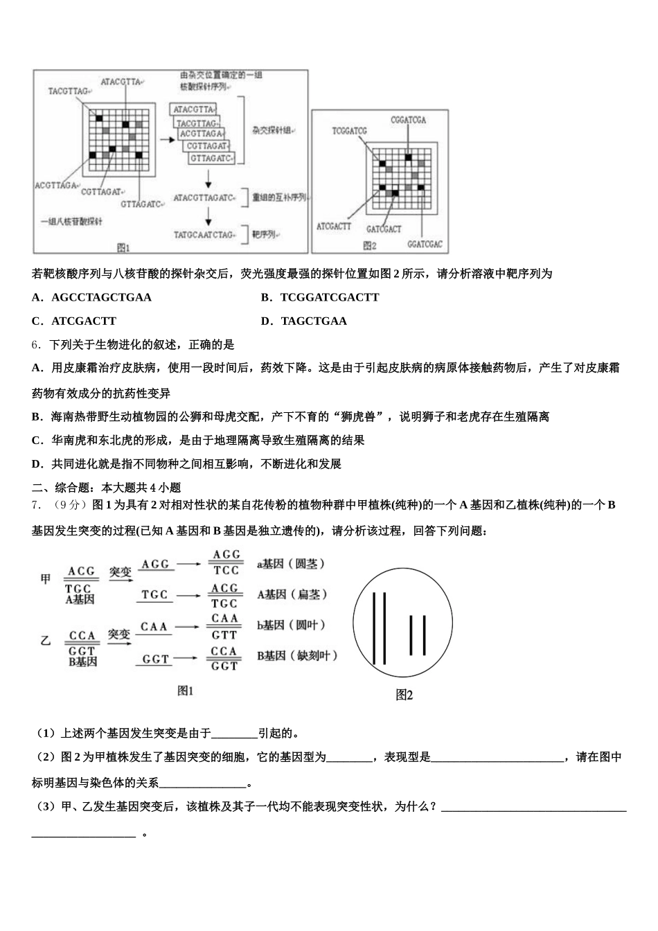 2024-2025学年安徽省临泉二中生物高一下期末综合测试试题含解析_第2页