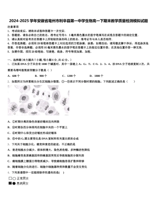 2024-2025学年安徽省毫州市利辛县第一中学生物高一下期末教学质量检测模拟试题含解析