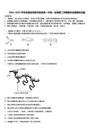 2024-2025学年安徽省阜阳市临泉县一中高一生物第二学期期末经典模拟试题含解析