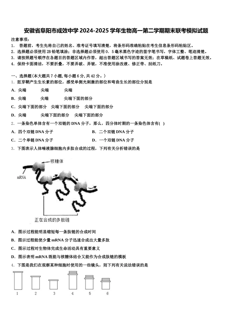 安徽省阜阳市成效中学2024-2025学年生物高一第二学期期末联考模拟试题含解析_第1页