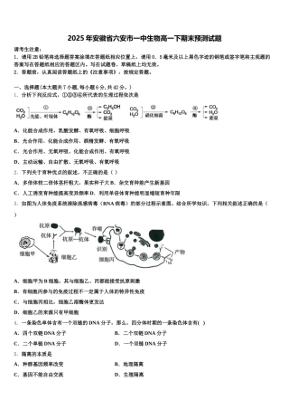 2025年安徽省六安市一中生物高一下期末预测试题含解析