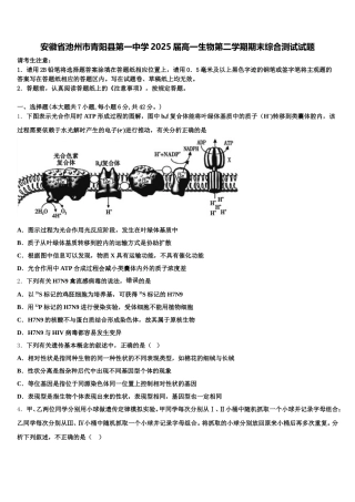 安徽省池州市青阳县第一中学2025届高一生物第二学期期末综合测试试题含解析