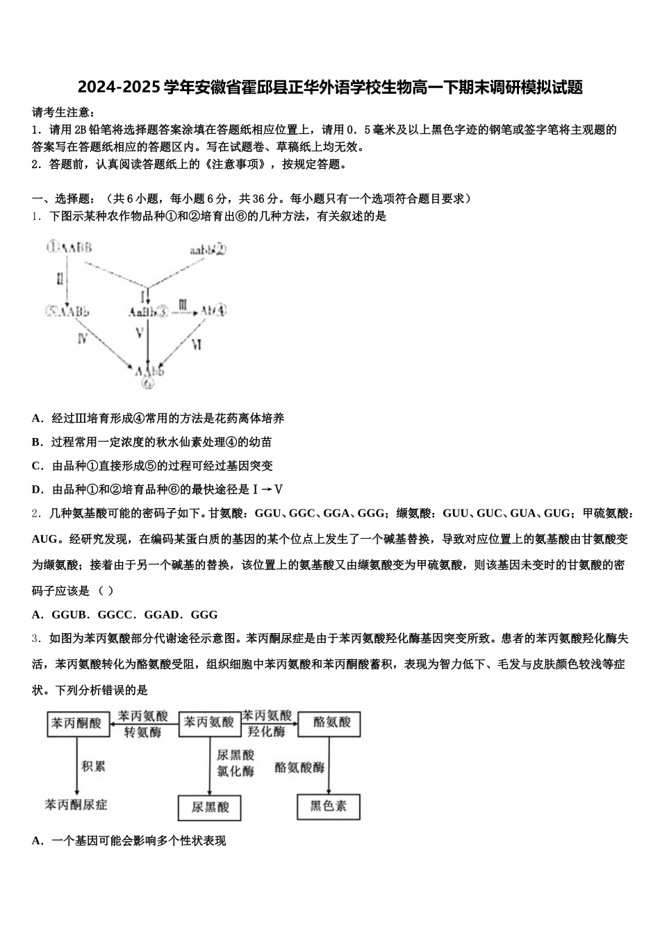 2024-2025学年安徽省霍邱县正华外语学校生物高一下期末调研模拟试题含解析_第1页
