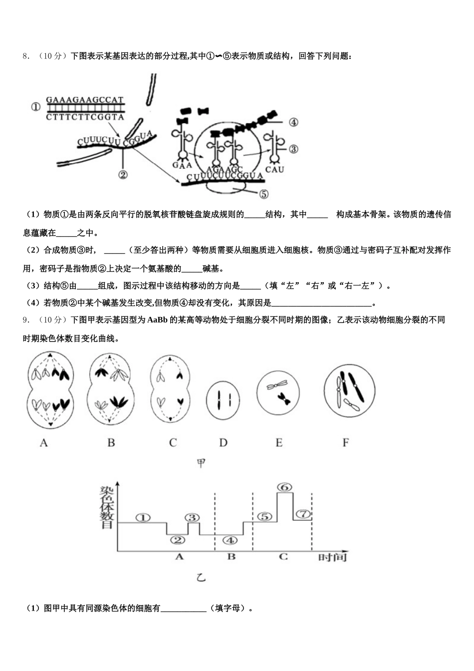 2024-2025学年安徽省霍邱县正华外语学校生物高一下期末调研模拟试题含解析_第3页