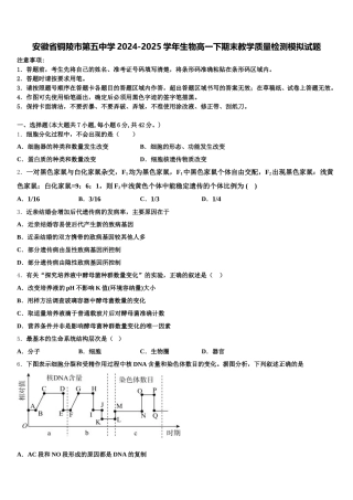 安徽省铜陵市第五中学2024-2025学年生物高一下期末教学质量检测模拟试题含解析
