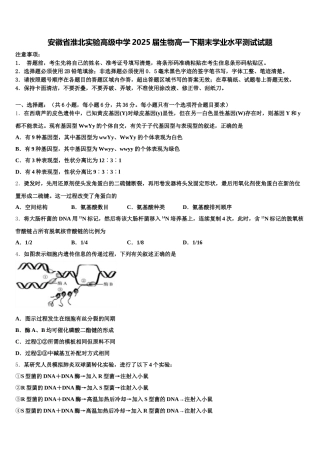 安徽省淮北实验高级中学2025届生物高一下期末学业水平测试试题含解析
