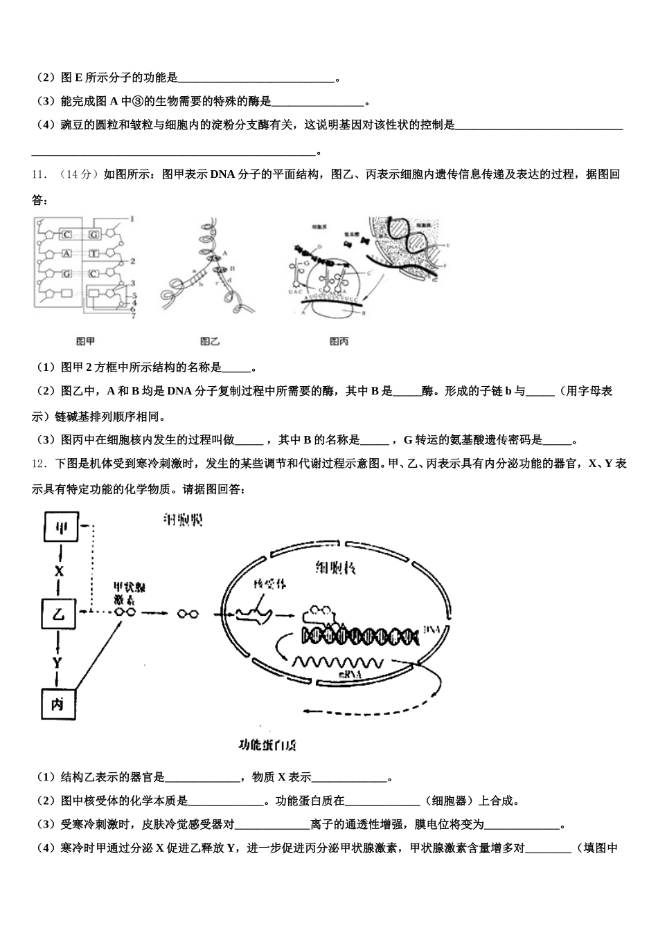 2025年安徽省郎溪中学生物高一第二学期期末教学质量检测试题含解析_第3页