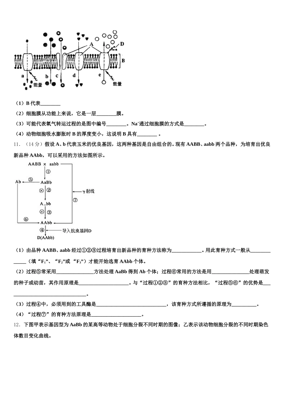 安徽省马鞍山市含山中学2025年高一下生物期末统考试题含解析_第3页