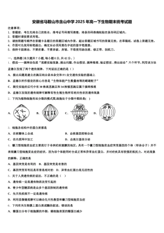 安徽省马鞍山市含山中学2025年高一下生物期末统考试题含解析
