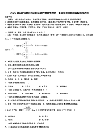 2025届安徽省合肥市庐阳区第六中学生物高一下期末质量跟踪监视模拟试题含解析