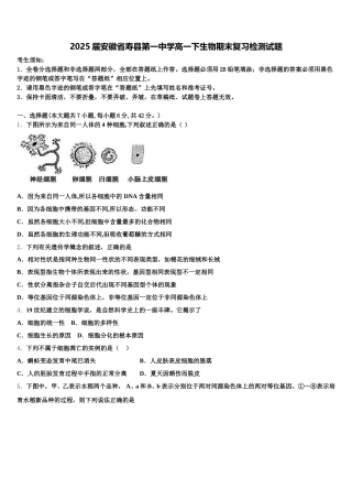 2025届安徽省寿县第一中学高一下生物期末复习检测试题含解析